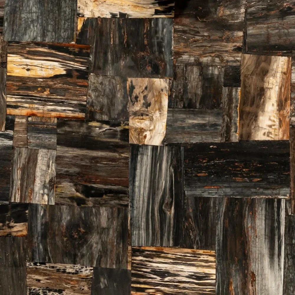 Black Petrified Retro Slab