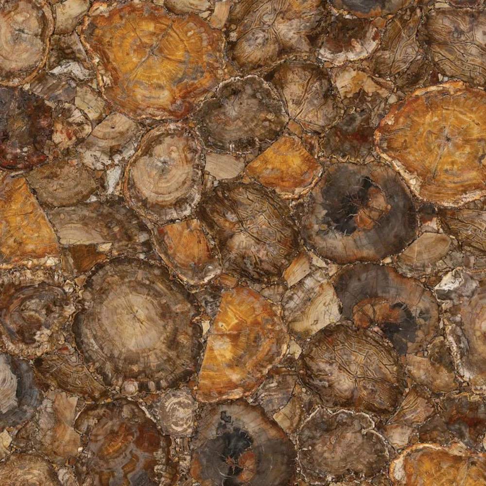 Brown Petrified Wood Slab