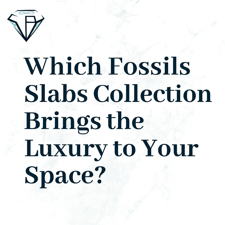 which fossils slabs collection brings the luxury to your space?