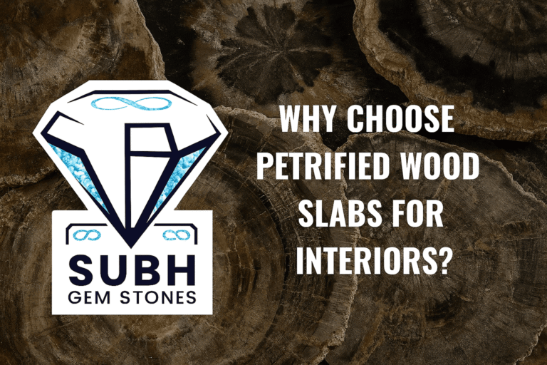 Petrified Wood Slabs